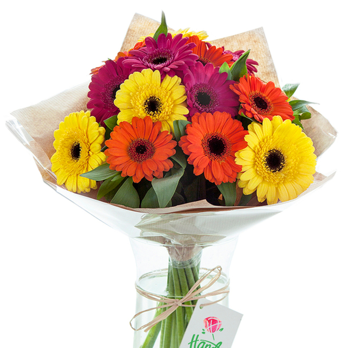 This striking hand-tied Gerbera daisy bouquet, crafted locally in Yeading, offers a vibrant ode to celebration and thoughtful gifting. A dazzling mix of large-petaled yellow, orange, and deep magenta Gerberas forms the heart of the arrangement, each bloom's bold, dark centre adding intrigue and compositional strength. Between the blossoms, softly arching stems of green foliage create a sense of volume and refinement, reminiscent of Yeading's leafy neighbourhoods. The bouquet is dressed with a layer of rustic light brown kraft paper, adding earthiness and contrast, then wrapped in clear, slightly glossy cellophane that gently flares out to cradle the flowers much as Yeading's parks embrace and shelter the community. The bottom stems are neatly tied with coarse jute twine, while a small, rectangular white tag floats near the knot, sketched with a vivid rose illustration-a hint at the personal, heartfelt delivery that defines local flower gifting. The arrangement sits in a clean, clear glass vase, where the water level glimmers beneath the sunlit surface, emphasising the freshness of each stem. Soft illumination sweeps across the bouquet, making the colours glow with inviting warmth. Designed for cherished occasions near The Grapes or a bright surprise along Yeading Lane, this bouquet is an artful expression of local pride and floral expertise.