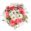 Capturing the freshness and subtle warmth of Yeading in spring, this bouquet showcases a symphony of bright whites, vivid corals, and lush greens, arranged with an artist's eye for detail. At its core, crisp white daisies stretch their petals wide around charming green centers, while luxuriously ruffled coral-pink carnations create pockets of joyful colour and texture. Light touches of baby's breath and narrow alstroemeria buds, tinged in purple and blush, emerge beneath clouds of soft greenery, gently scenting the air with the familiar coolness of eucalyptus. The verdant underlay-mixing silvery and dark green leaf tones-encircles the bouquet, making each bloom pop in contrast to the pure white background. Every blossom seems to reach outward, echoing the sense of community found at Yeading's local parks and family celebrations. The design is joyful and tranquil, perfect for a spring birthday or to fill a loved one's room with the subtle optimism and enduring care of a Yeading florist, whose passion for flowers shines through every petal and leaf.